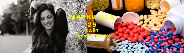 индика Киренск