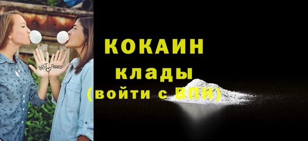 кокс Арсеньев