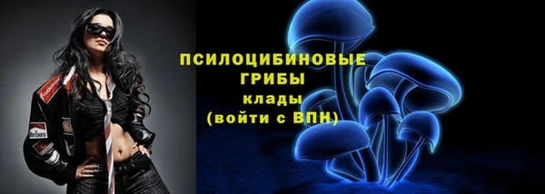 кокс Арсеньев