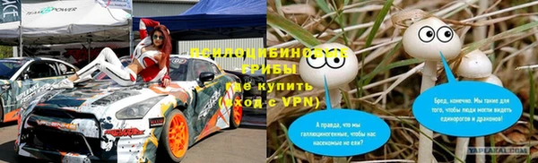 метадон Алексин