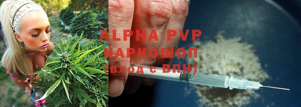 кокс Арсеньев