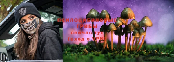 эйфоретик Алексеевка